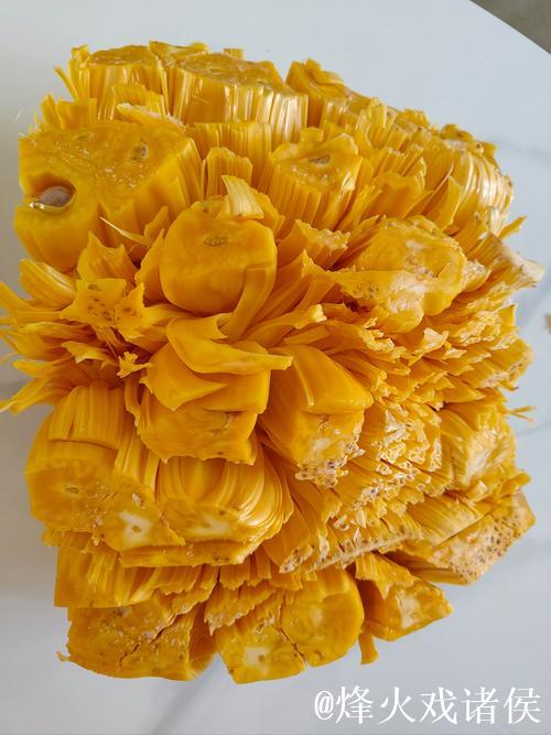 菠萝蜜视频在线看精彩内容免费畅享 菠萝蜜视频在线看精彩内容免费畅享