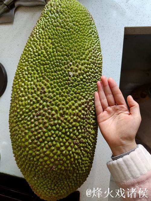 菠萝蜜视频在线看精彩内容免费畅享 菠萝蜜视频在线看精彩内容免费畅享