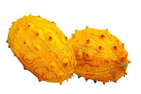 如何安全访问黑瓜吃料网入口攻略